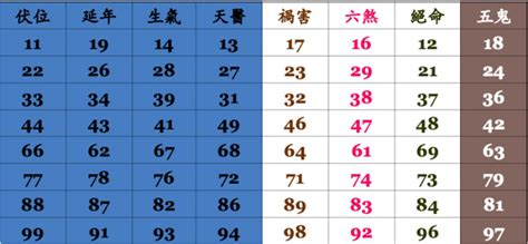 延年伏位|易經數字DNA解析